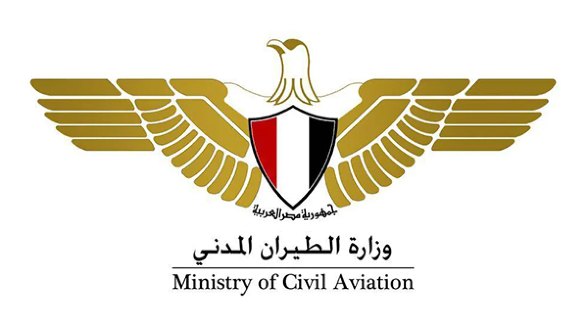 مصر.. مصرع طيار بسقوط طائرة تدريب