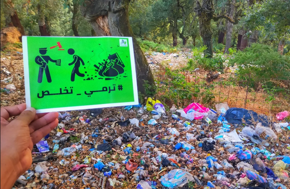 «ترمي تخلص».. جزائريون يطلقون حملة للوقاية من حرائق الغابات