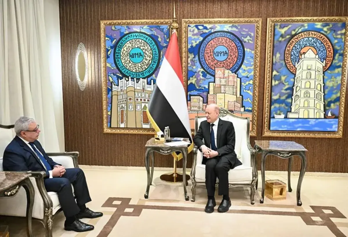 العليمي: حماية الساحل اليمني وأمن باب المندب مصلحة عالمية مشتركة