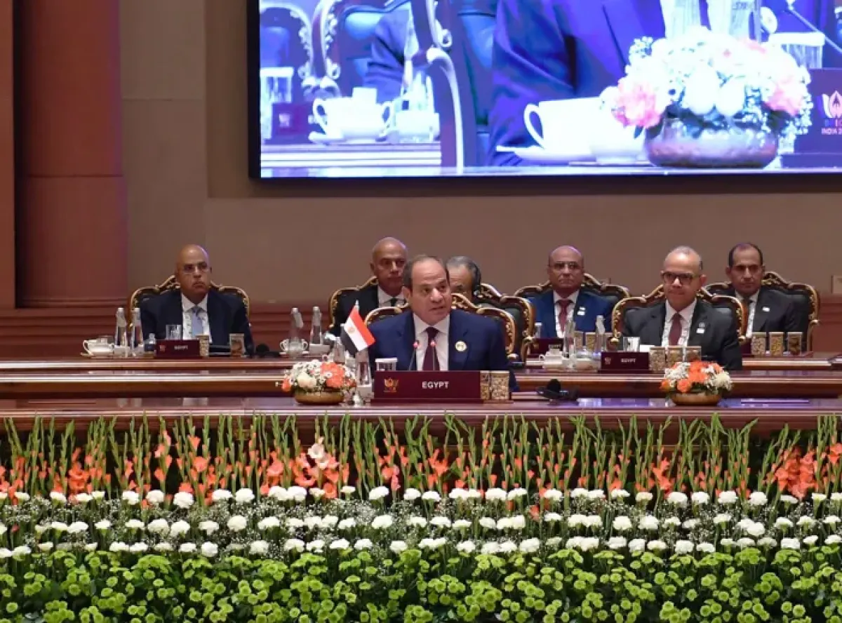 السيسي: مصر تدرك أهمية الحفاظ على استقرار وحرية الملاحة الدولية
